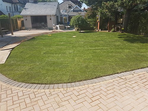 new garden lawn