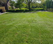 Roe Landscapes Paving & Landscaping Specialists, Dungiven, large garden with big trees
