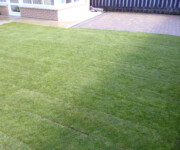 Roe Landscapes Paving & Landscaping Specialists, Dungiven, new lawn