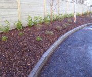 Roe Landscapes Paving & Landscaping Specialists, Dungiven, kerbs with bark and shrubs