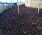 Roe Landscapes Paving & Landscaping Specialists, Dungiven, garden edge